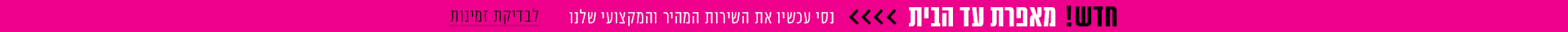Home Mini Banner